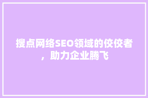 搜点网络SEO领域的佼佼者，助力企业腾飞