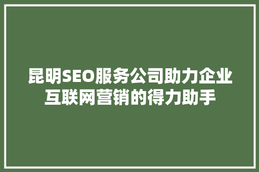 昆明SEO服务公司助力企业互联网营销的得力助手