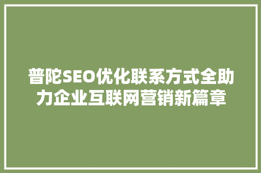 普陀SEO优化联系方式全助力企业互联网营销新篇章