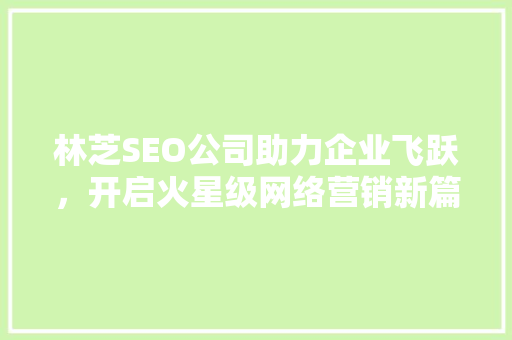 林芝SEO公司助力企业飞跃，开启火星级网络营销新篇章