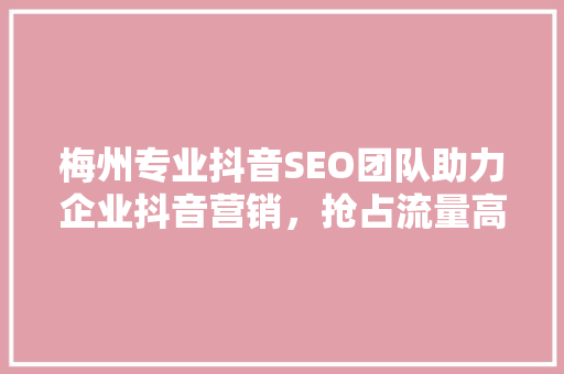 梅州专业抖音SEO团队助力企业抖音营销，抢占流量高地