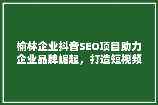 榆林企业抖音SEO项目助力企业品牌崛起，打造短视频营销新生态