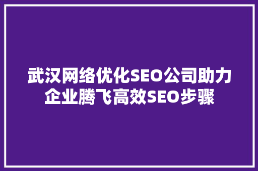 武汉网络优化SEO公司助力企业腾飞高效SEO步骤