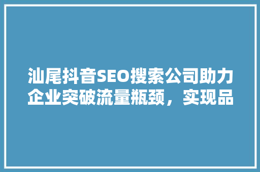汕尾抖音SEO搜索公司助力企业突破流量瓶颈，实现品牌飞跃