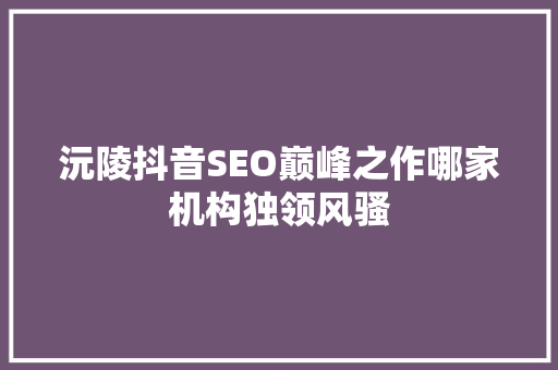 沅陵抖音SEO巅峰之作哪家机构独领风骚