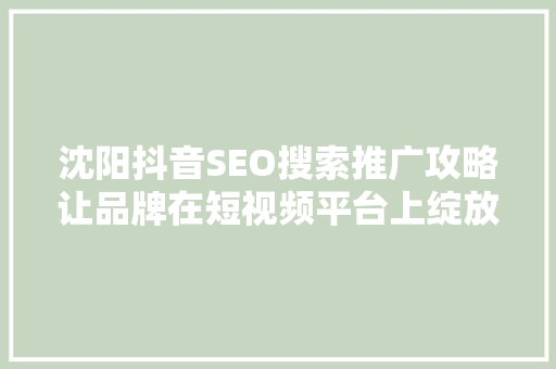 沈阳抖音SEO搜索推广攻略让品牌在短视频平台上绽放光彩