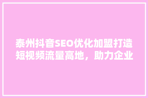 泰州抖音SEO优化加盟打造短视频流量高地，助力企业腾飞