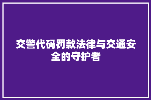 交警代码罚款法律与交通安全的守护者