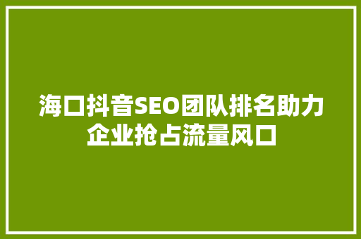 海口抖音SEO团队排名助力企业抢占流量风口