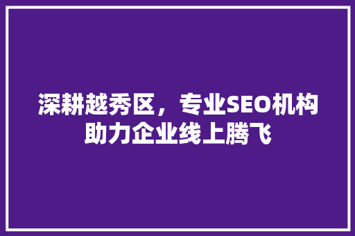 深耕越秀区，专业SEO机构助力企业线上腾飞