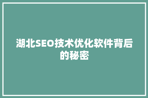 湖北SEO技术优化软件背后的秘密
