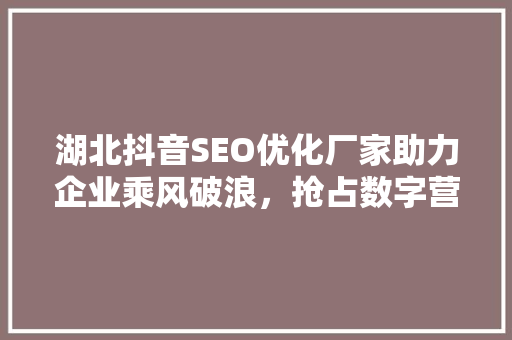 湖北抖音SEO优化厂家助力企业乘风破浪，抢占数字营销新风口