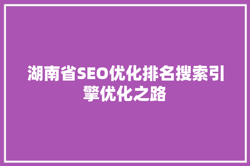湖南省SEO优化排名搜索引擎优化之路