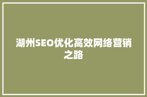 湖州SEO优化高效网络营销之路