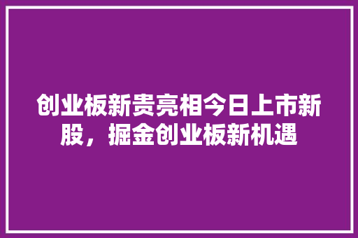 创业板新贵亮相今日上市新股，掘金创业板新机遇