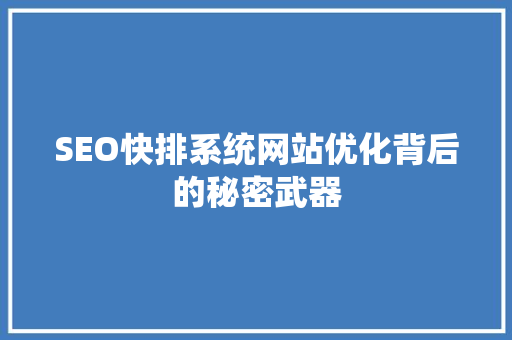 SEO快排系统网站优化背后的秘密武器