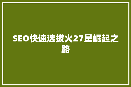 SEO快速选拔火27星崛起之路