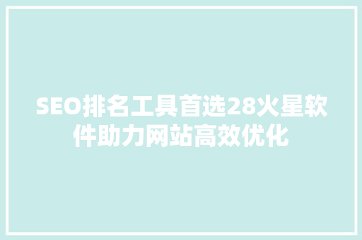 SEO排名工具首选28火星软件助力网站高效优化
