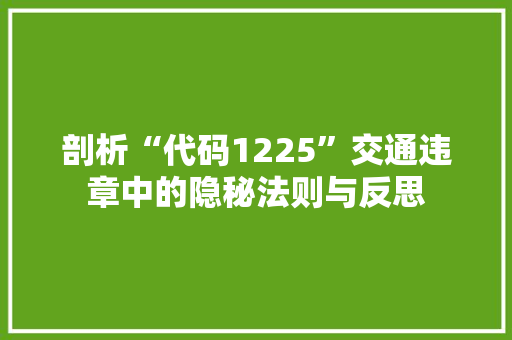 剖析“代码1225”交通违章中的隐秘法则与反思