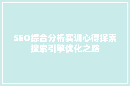 SEO综合分析实训心得探索搜索引擎优化之路  第1张