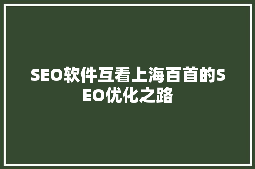 SEO软件互看上海百首的SEO优化之路