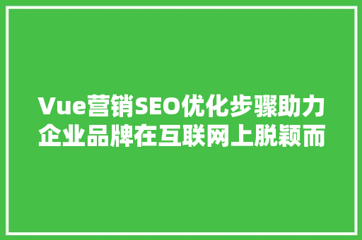 Vue营销SEO优化步骤助力企业品牌在互联网上脱颖而出