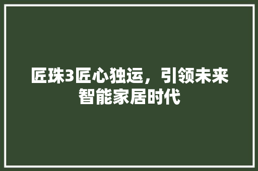 匠珠3匠心独运，引领未来智能家居时代
