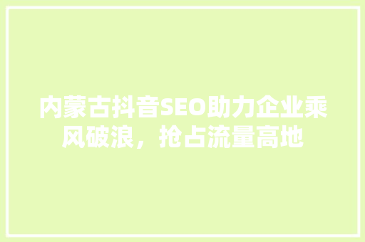 内蒙古抖音SEO助力企业乘风破浪，抢占流量高地