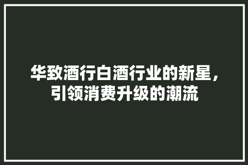 华致酒行白酒行业的新星，引领消费升级的潮流