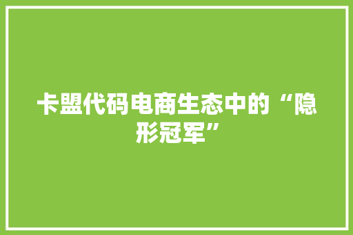 卡盟代码电商生态中的“隐形冠军”