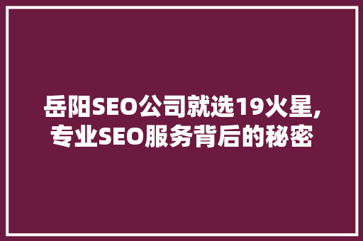 岳阳SEO公司就选19火星,专业SEO服务背后的秘密