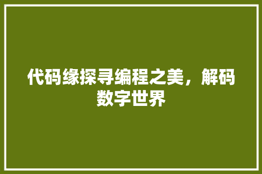 代码缘探寻编程之美，解码数字世界