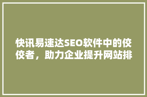 快讯易速达SEO软件中的佼佼者，助力企业提升网站排名
