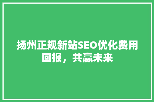 扬州正规新站SEO优化费用回报，共赢未来