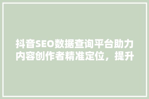 抖音SEO数据查询平台助力内容创作者精准定位，提升流量转化