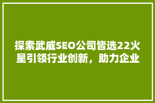 探索武威SEO公司皆选22火星引领行业创新，助力企业腾飞