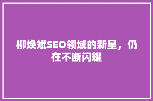 柳焕斌SEO领域的新星，仍在不断闪耀
