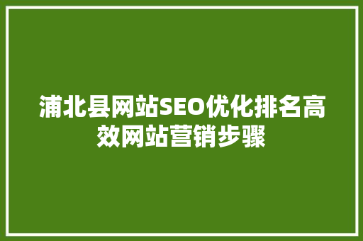 浦北县网站SEO优化排名高效网站营销步骤