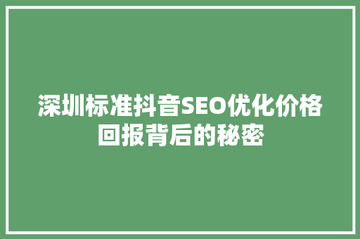 深圳标准抖音SEO优化价格回报背后的秘密
