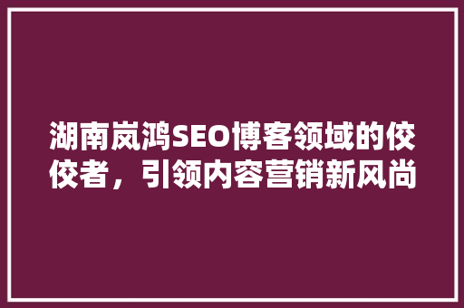 湖南岚鸿SEO博客领域的佼佼者，引领内容营销新风尚