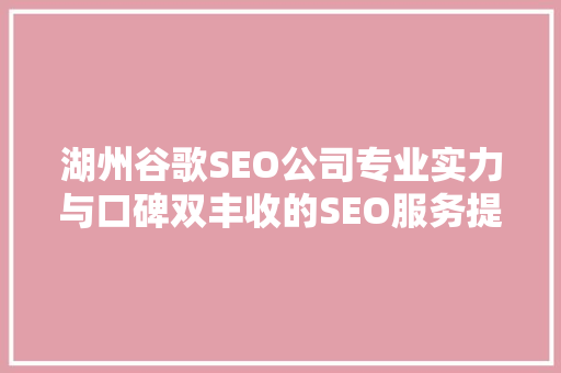 湖州谷歌SEO公司专业实力与口碑双丰收的SEO服务提供商