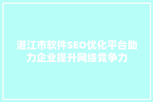 湛江市软件SEO优化平台助力企业提升网络竞争力
