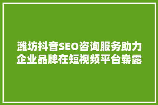 潍坊抖音SEO咨询服务助力企业品牌在短视频平台崭露头角