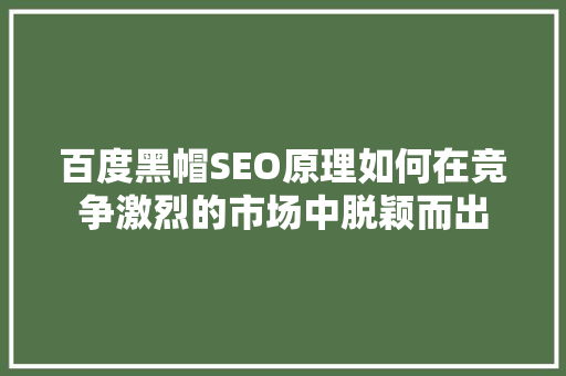 百度黑帽SEO原理如何在竞争激烈的市场中脱颖而出
