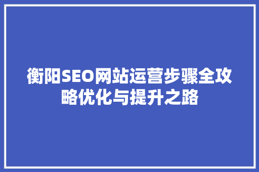 衡阳SEO网站运营步骤全攻略优化与提升之路