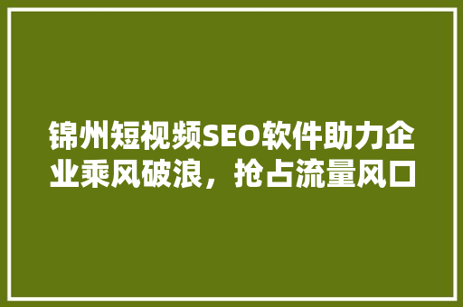 锦州短视频SEO软件助力企业乘风破浪，抢占流量风口