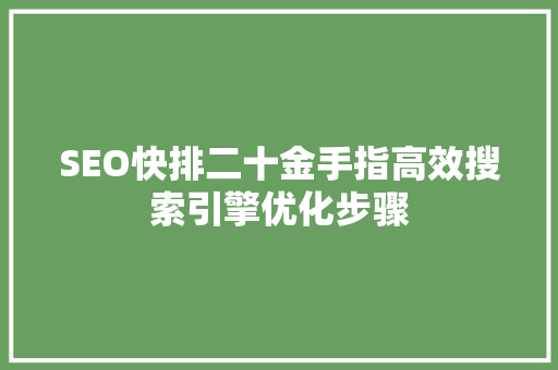 SEO快排二十金手指高效搜索引擎优化步骤