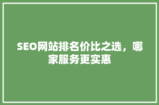 SEO网站排名价比之选，哪家服务更实惠