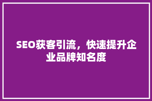 SEO获客引流，快速提升企业品牌知名度