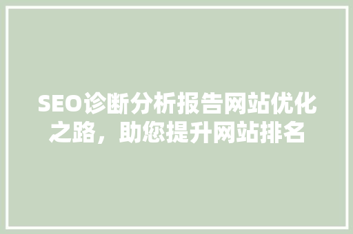 SEO诊断分析报告网站优化之路，助您提升网站排名